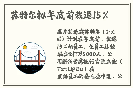 精品91亚洲高清在线观看